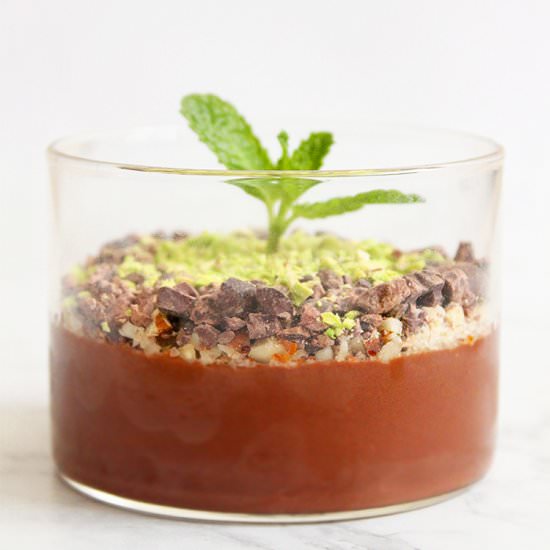 Vegan Chocolate Mousse Terrarium