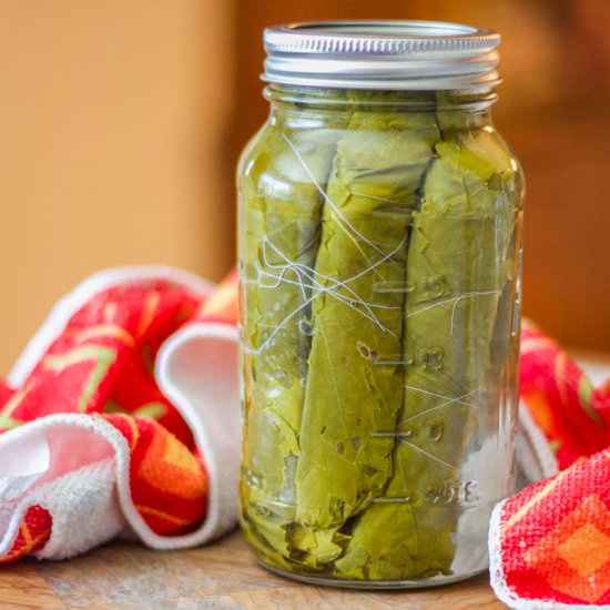 How to Pickle Grape Leaves