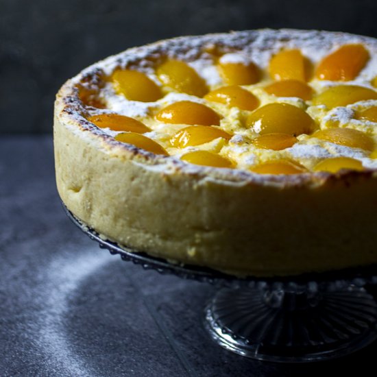 Apricot Cheesecake