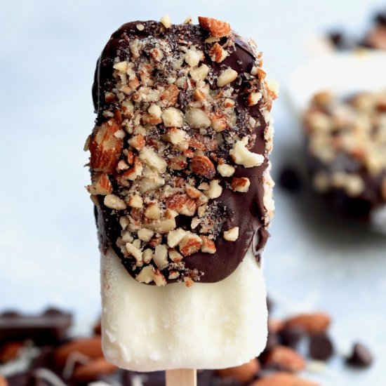 chocolate almond coconut fruit bars