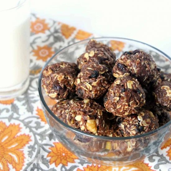 Cranberry Pecan Energy Bites