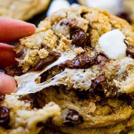 S’MORES CHOCOLATE CHIP COOKIES