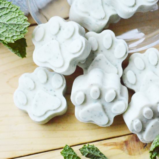 Frozen Yogurt Mint Dog Treats