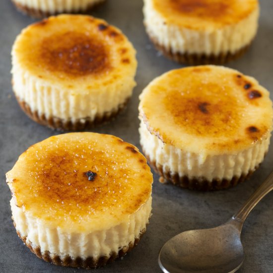 Mini Crème Brûlée Cheesecakes