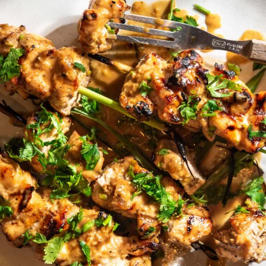 Grilled Lemongrass Chicken Satay