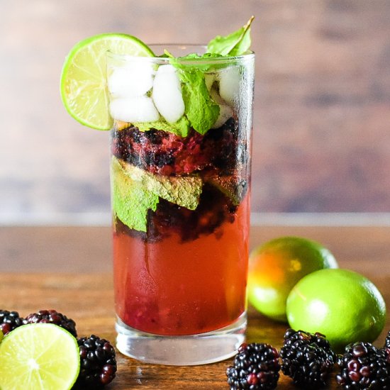 Blackberry Mojito Cocktail