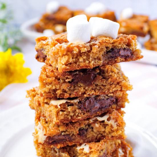 S’mores Blondies