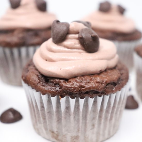 Chocolate Cupcakes with Frosting