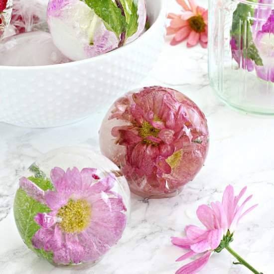 How to Put Edible Flowers in Ice