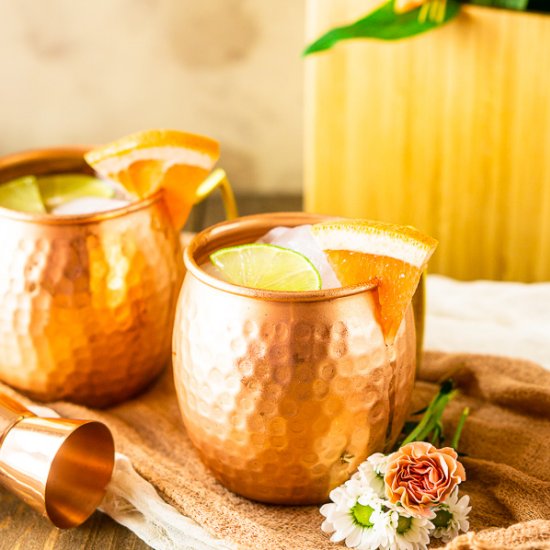 Grapefruit Gin Mule