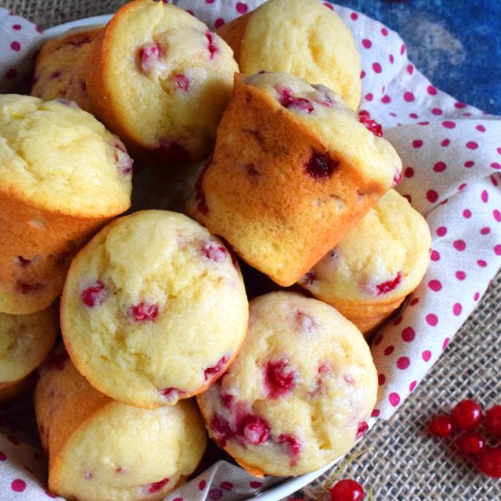 Red Currant Yogurt Muffins