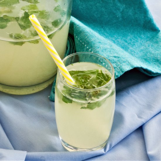 Low Fodmap Mint Lemonade