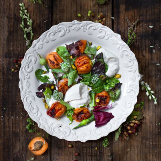 Charred Apricots with Burrata