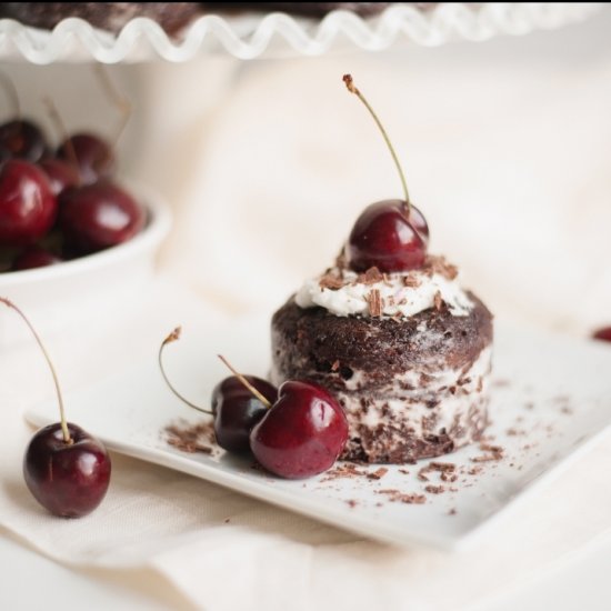 Black Forest Mini Cakes