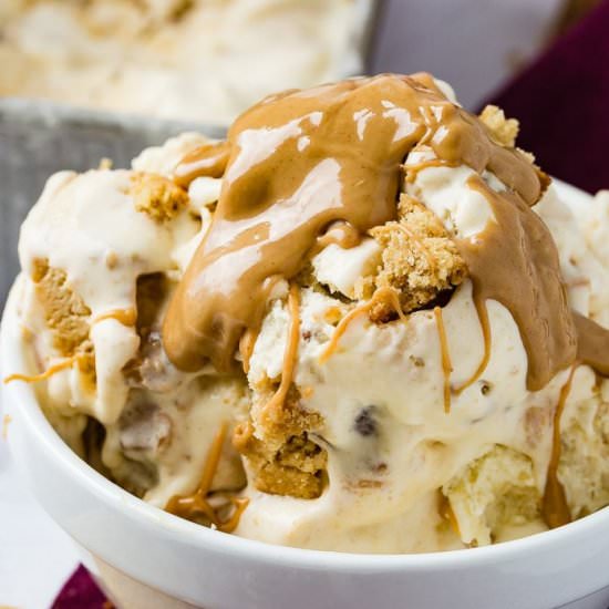 PEANUT BUTTER COOKIE ICE CREAM