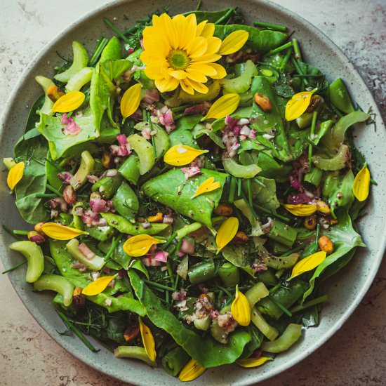 Mixed Layered Herb Salad