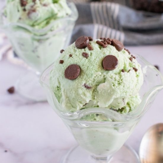 Homemade Mint Chip Ice Cream