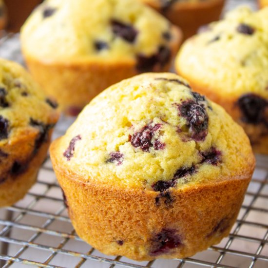 Huckleberry Muffins