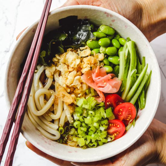 cold japanese udon noodle soup