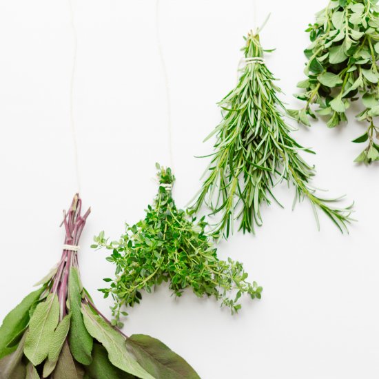 Preserving Fresh Herbs:2 Easy Ways