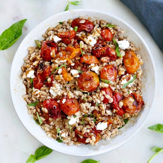 Roasted Tomato Farro Salad