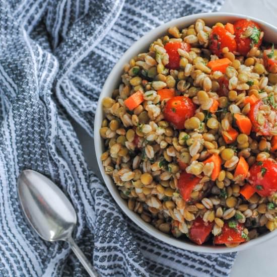 Garden Lentil Salad