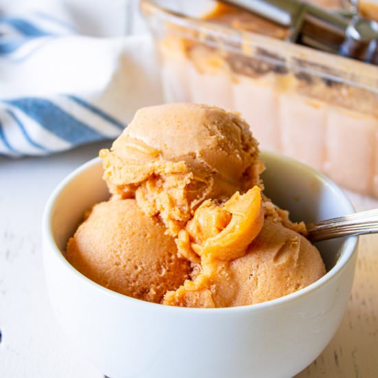 Apricot Sorbet