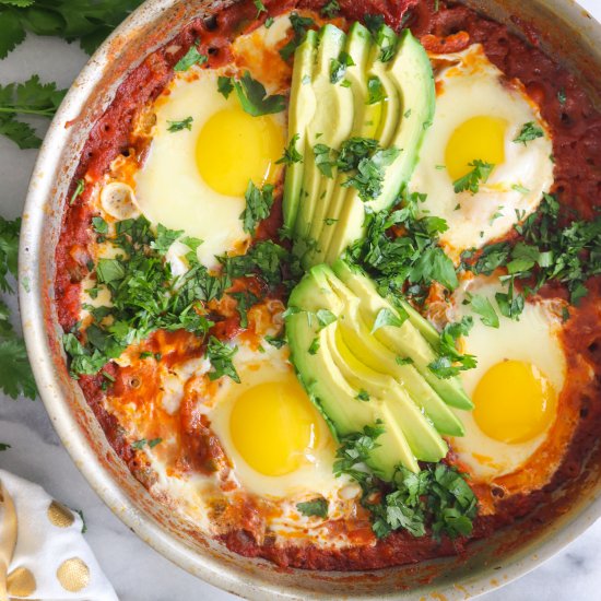 The Best Shakshuka