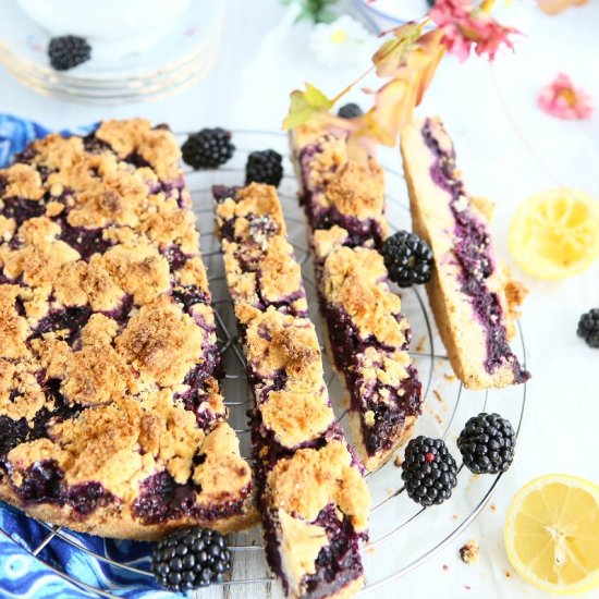 Blackberry Chia Crumble Bars