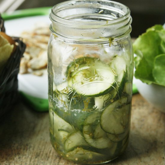 Easy Dill Quick Pickles