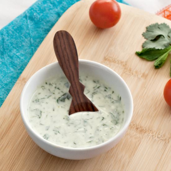 Low Fodmap Indian Yogurt Dip