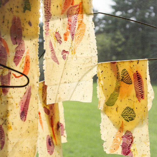 Flower Pressed pasta