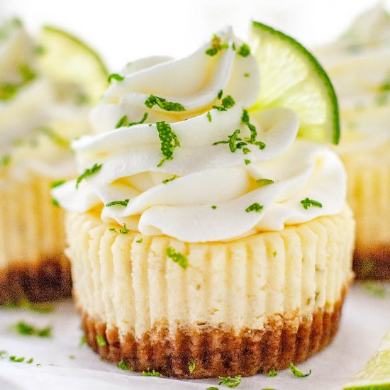 Mini Key Lime Cheesecakes