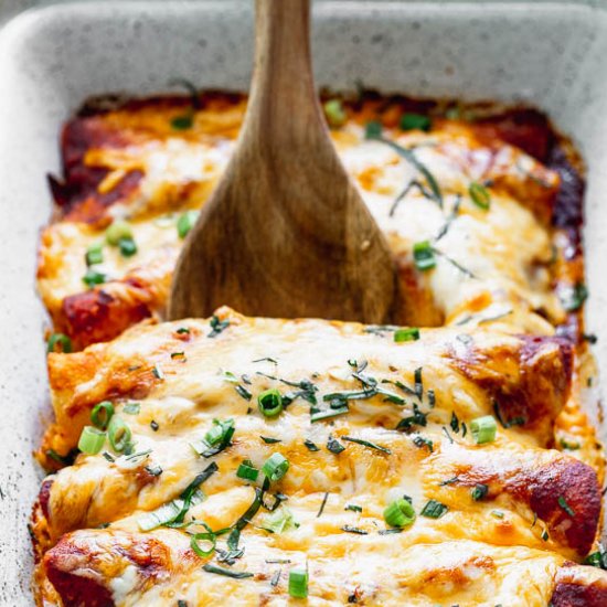 Best Chicken Enchilada Recipe