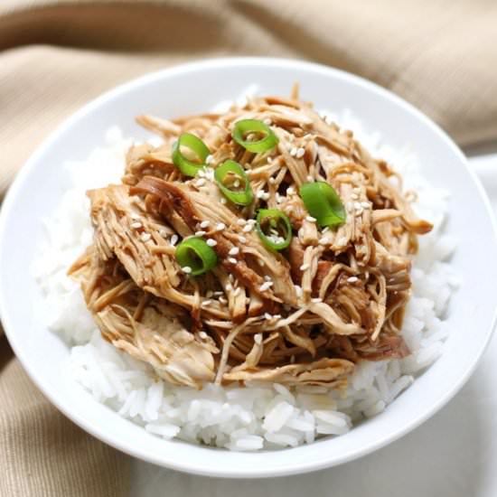 Slow Cooker Teriyaki Chicken (GF/P)