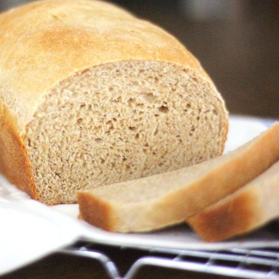 Whole Wheat Bread