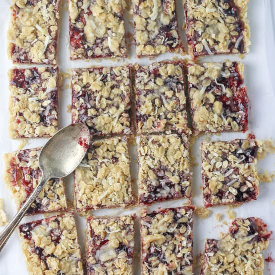 Raspberry Coconut Oat Bars