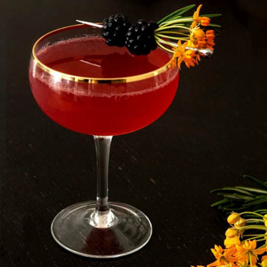 Sparkling Blackberry Cocktail