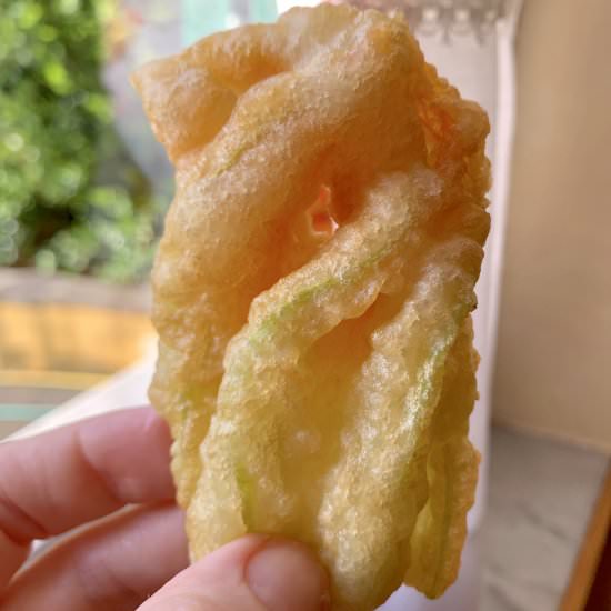 italian fried zucchini blossoms