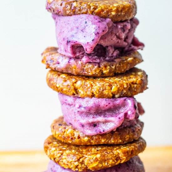 Blueberry Pecan Ice Cream Sandwich