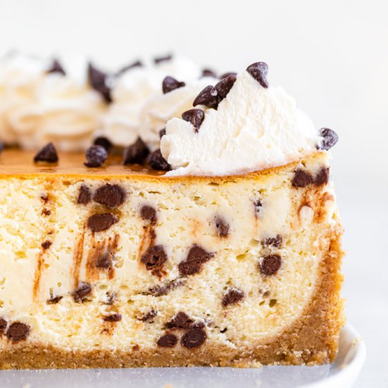 Chocolate Chip Cheesecake