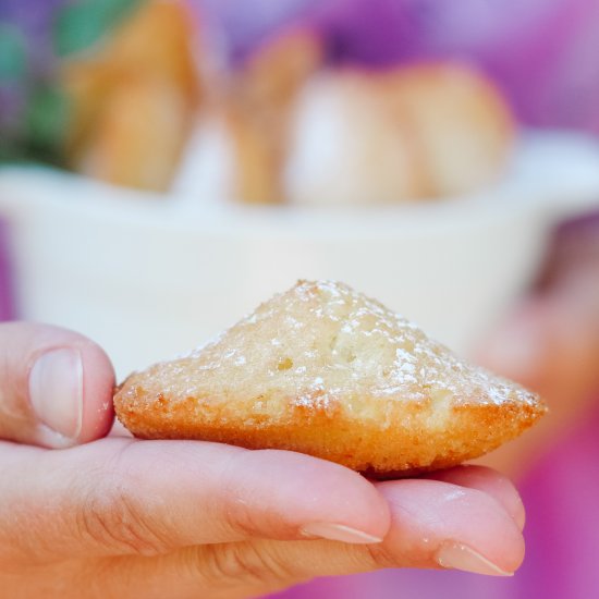 Rose Water French Madeleines