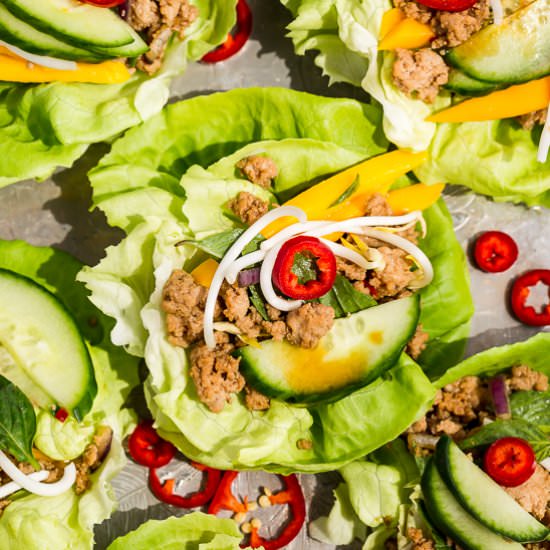 Thai Turkey Lettuce Wraps