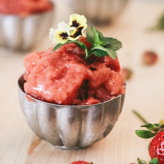 Gingered Strawberry Rhubarb Sorbet