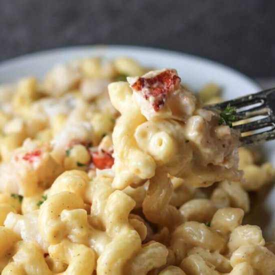 Lobster Macaroni and Cheese