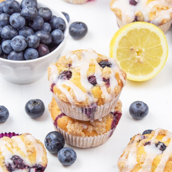 Healthy Vegan Blueberry Muffins GF