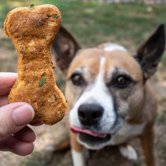 Pumpkin, Apple and Mint Dog Treats