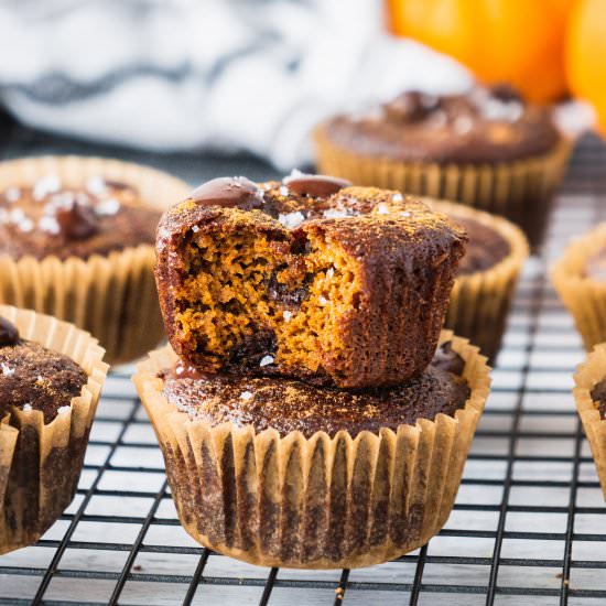 Pumpkin Chocolate Chip Muffins