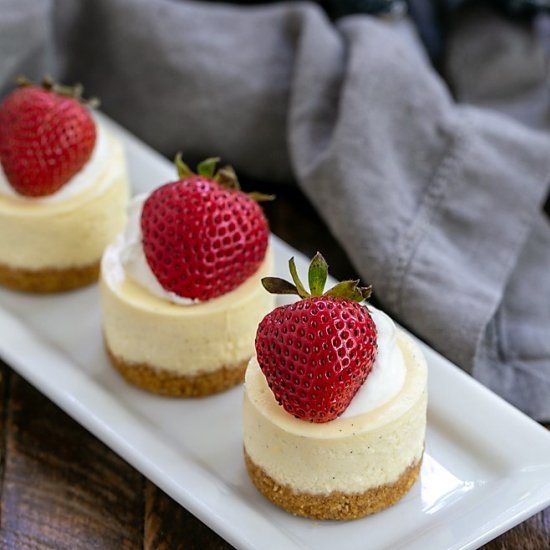 Mini Vanilla Bean Cheesecakes