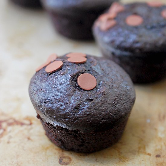 Fudgy double chocolate chip muffins